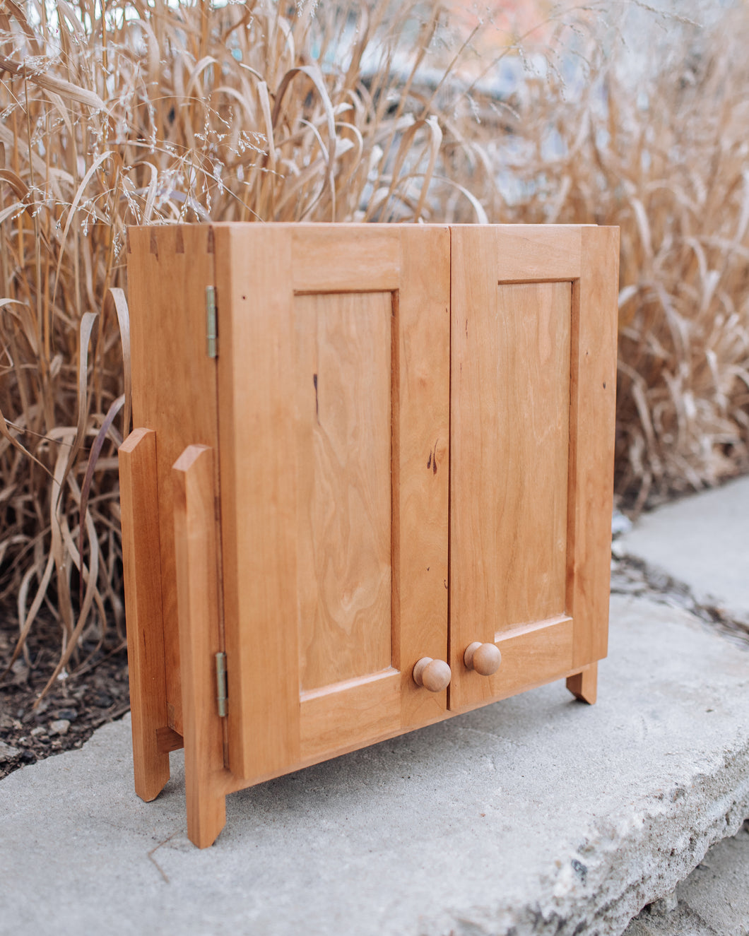 Counter Top Spice Cabinet